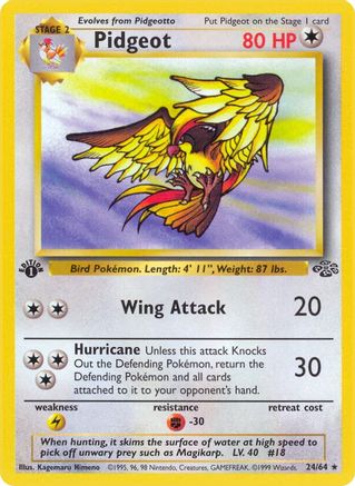 Pidgeot (24) (24) 024  - 1st Edition Jungle - Rare